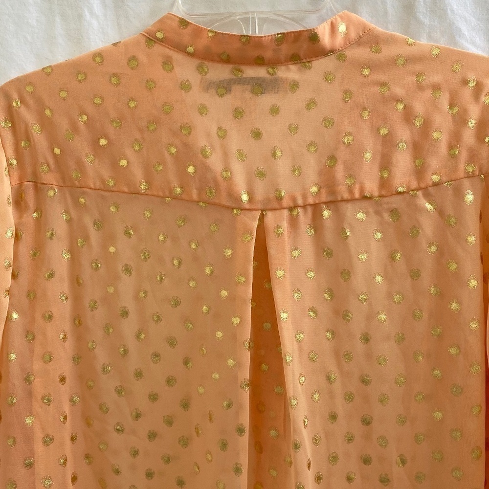 Sheer Blouse Size: Large - Picture 7 of 8